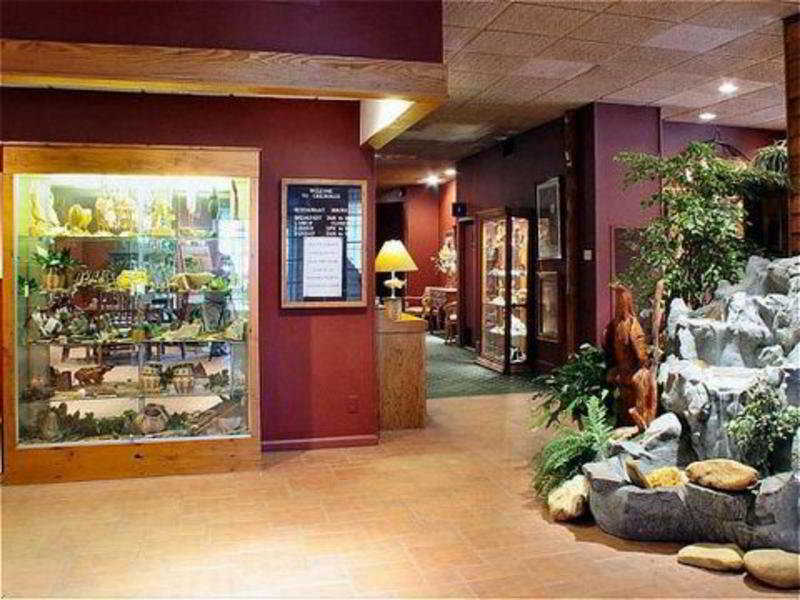 Chestnut Tree Inn - Cherokee Interieur foto